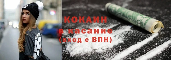 стафф Арсеньев