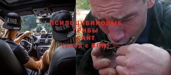 стафф Арсеньев