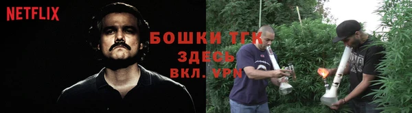 стафф Арсеньев