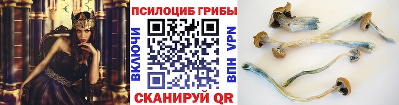 Псилоцибиновые грибы Cubensis дарнет шоп Хвалынск